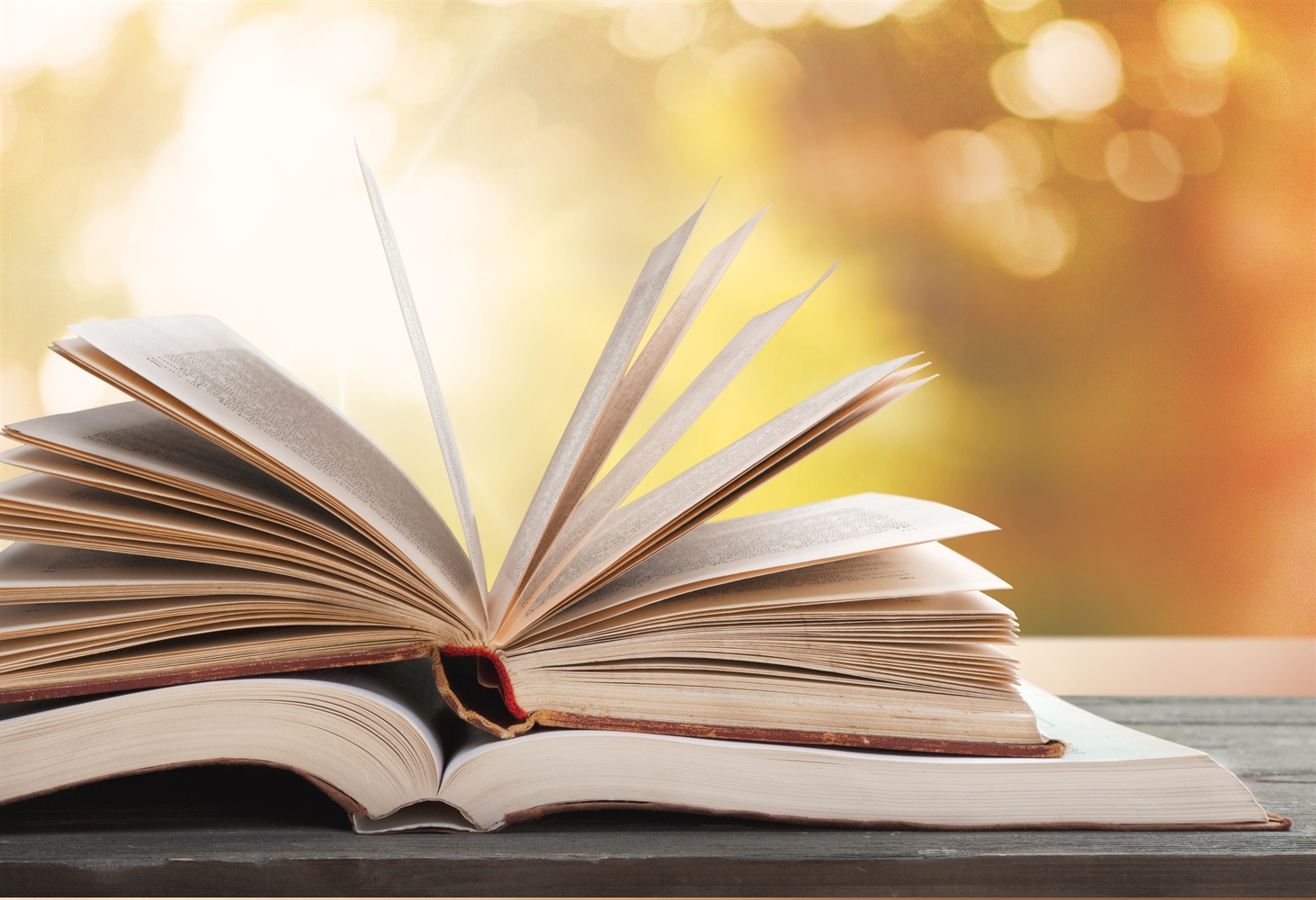 Bücher in der Buchhandlung FBUCH